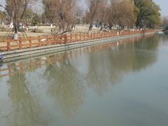 -九科绿洲