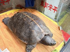 -汴河街