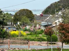 -巢湖姥山岛
