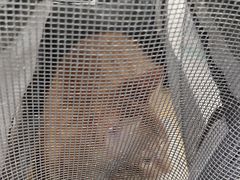 -艾贝尔宠物医院·宠保定点·超声绝育·免疫点(樱花路店)