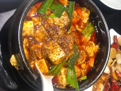 -陈麻婆豆腐总店