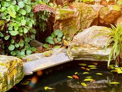 -谷咖啡·鲜花绿植花园餐厅