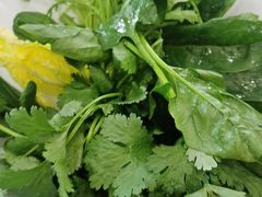-草原传奇鲜羊火锅(桥北店)