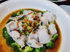 鲜花椒鲈鱼-中卫御苑福膳·养生局(圆明园店)