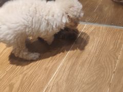 -将军关探险漂流