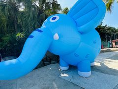 -重庆海昌加勒比海水世界