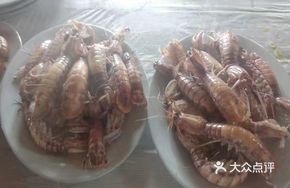 Red Heart Shrimp