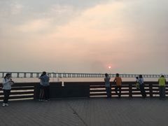 -宝安西湾红树林湿地公园