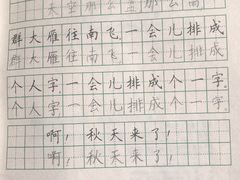 -赵汝飞练字硬笔书法(静安寺校区)