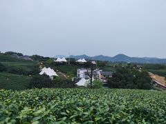 -帐篷客·溪龙茶谷度假酒店