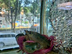 -青竹园海鲜餐厅(海天路店)