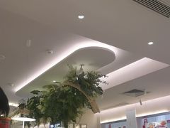 -Aqua Oasis 水天堂(太湖中心mall店)