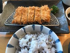 -胜博殿日式炸猪排(西红门店)