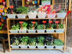 -塘人·老底子宁波菜小馆(南塘老街店)