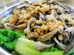 -禄源公·老莞诚饭店