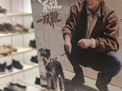 -汇德隆银隆
