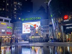 -深圳龙华星河COCO City(民治店)
