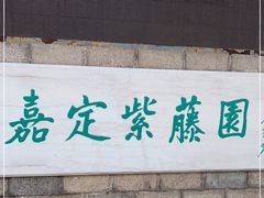 -嘉定紫藤园