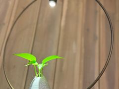 -垚慈居素食(华发新城店)