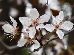 -外高桥保税区南(地铁站)