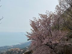 -崂山仰口游览区
