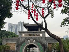 -荔湾湖公园