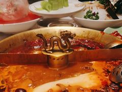 -小龙翻大江文化火锅(宽窄店)