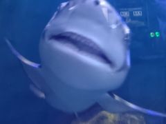-白鹿仓冰雪海洋世界