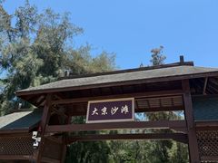 -大京沙滩