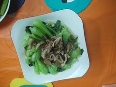 -臻爱住家月嫂育儿嫂(万达店)