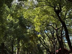 -湖南省立第一师范学校旧址