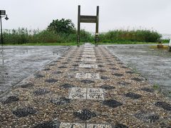-莲花岛景区