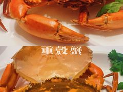 -千灯盛汇·头牌粤菜(致越优城店)