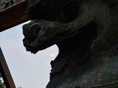-北陵公园
