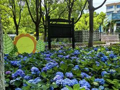 -上海吴淞炮台湾国家湿地公园
