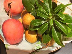-季季山·云南野生菌火锅(上海首店)