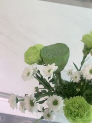 -HEYAN长风荷妍专业脱毛美肤

