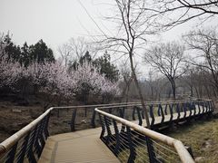 -白水寺森林公园