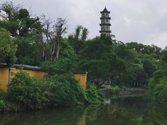 -江心屿景区
