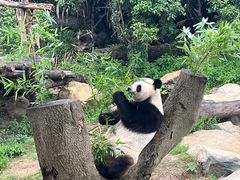 -宁波野生动物园
