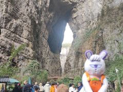 -重庆武隆天生三桥风景区-神鹰天坑