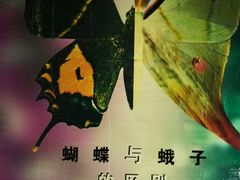 -上海昆虫博物馆