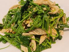 凉拌丝瓜尖-黑窑厂糖油饼烤鸭·清真菜(旗舰店)