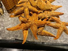 -阳光壹佰美爵酒店-绿洲西餐厅
