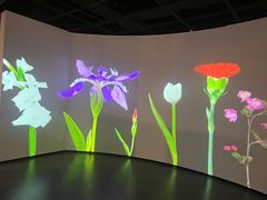 -四川大学博物馆