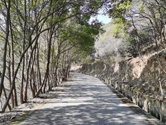 -东山风景区(洞庭东山)