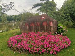 -鹅湖玫瑰文化园