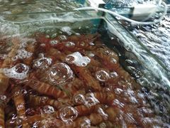 -庄姐川味海鲜B栋2排2号(万人海鲜广场火车头店)