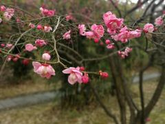 -浙江农林大学(东湖校区)
