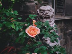 -老门东历史文化街区